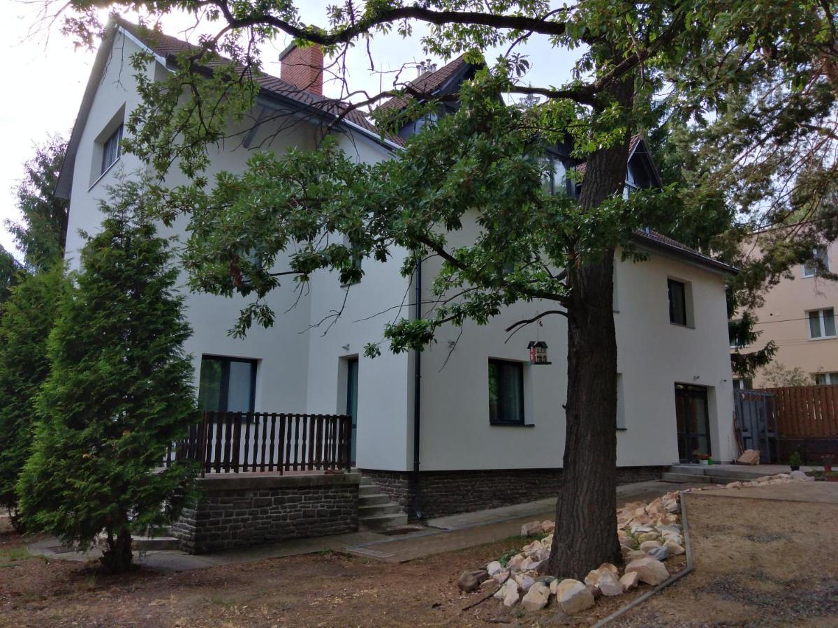 Bed and Breakfast Diana Panzio Матрафюред Экстерьер фото